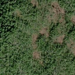 Satellite imagery of Kellogg Point, US