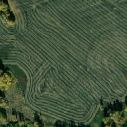 Satellite imagery of Грязнинский, KZ