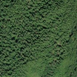 Satellite imagery of Porpoise Point, US