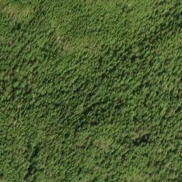 Satellite imagery of Bald Ridge, US