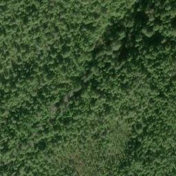 Satellite imagery of Yellow Point, US