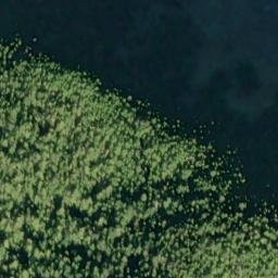 Satellite imagery of Sakie Point, US