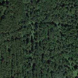 Satellite imagery of Корчуган-Белкино, KZ