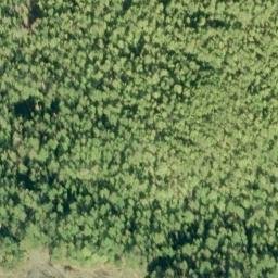 Satellite imagery of Solyanka Point, US