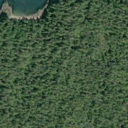 Satellite imagery of Tree Point, CA
