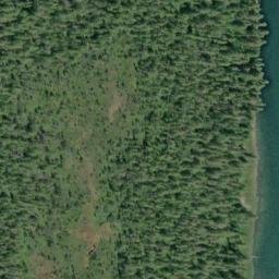 Satellite imagery of Tree Point, CA