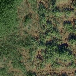 Satellite imagery of Survey Point, US