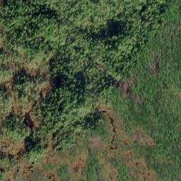 Satellite imagery of Survey Point, US