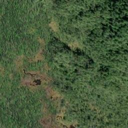 Satellite imagery of Survey Point, US