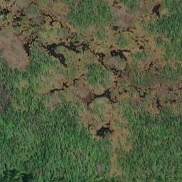 Satellite imagery of Survey Point, US