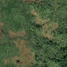Satellite imagery of Survey Point, US