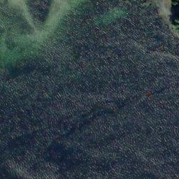 Satellite imagery of Point Arucenas, US