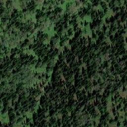 Satellite imagery of Симонова, KZ