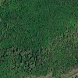 Satellite imagery of Black Point, CA