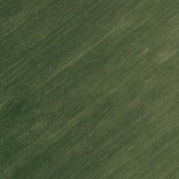 Satellite imagery of Портнягино, KZ