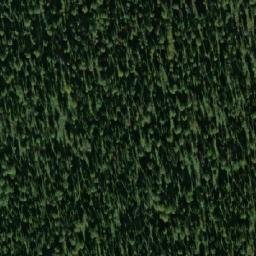 Satellite imagery of Федоровский, RU