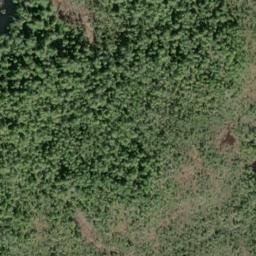 Satellite imagery of Point Webster, US