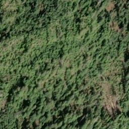 Satellite imagery of Rose Point, US