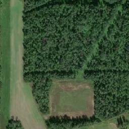 Satellite imagery of Toad Hill, CA