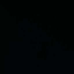 Satellite imagery of Bjergskov, DK
