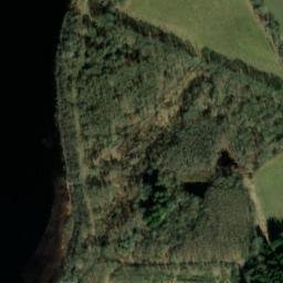 Satellite imagery of Bjergskov, DK