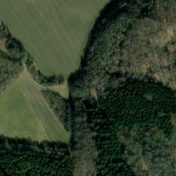 Satellite imagery of Bjergskov, DK