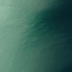 Satellite imagery of Møns Klint, DK