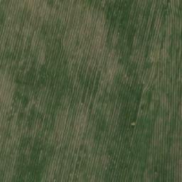 Satellite imagery of Брянск (Красная Заря), KZ