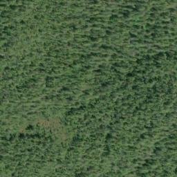 Satellite imagery of Hidden Point, US