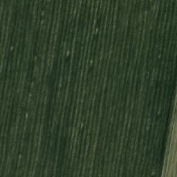Satellite imagery of Скарюпинский, KZ