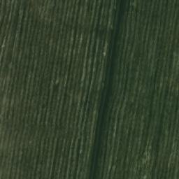 Satellite imagery of Скарюпинский, KZ
