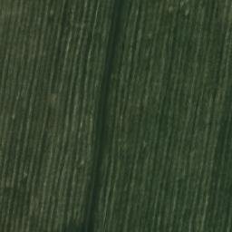 Satellite imagery of Скарюпинский, KZ