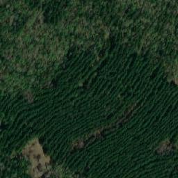 Satellite imagery of Калинкино, KZ