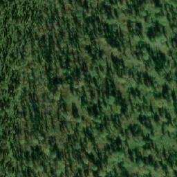 Satellite imagery of Знаменитый, RU