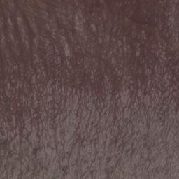 Satellite imagery of Morsum Kliff, DE