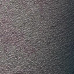 Satellite imagery of Pølshuk, DK