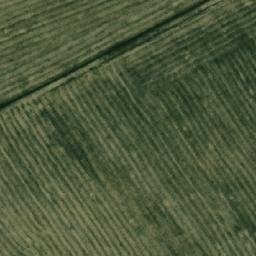 Satellite imagery of Тречиха, KZ