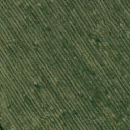 Satellite imagery of Тречиха, KZ