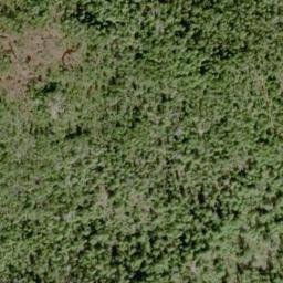 Satellite imagery of Dix Point, US