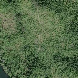 Satellite imagery of Coning Point, US