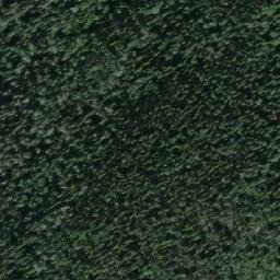 Satellite imagery of Carp Hill, CA