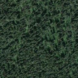 Satellite imagery of Carp Hill, CA
