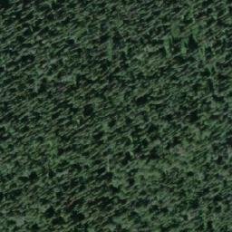 Satellite imagery of Carp Hill, CA