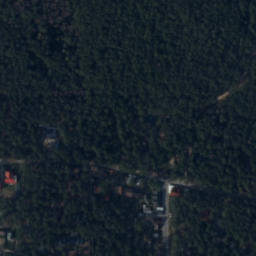 Satelita