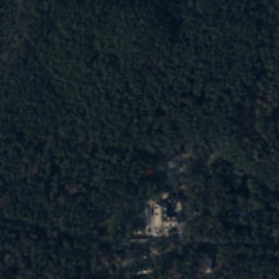 Satelita