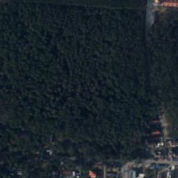 Satelita