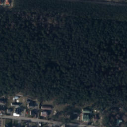 Satelita