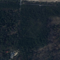 Satelita