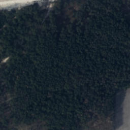 Satelita
