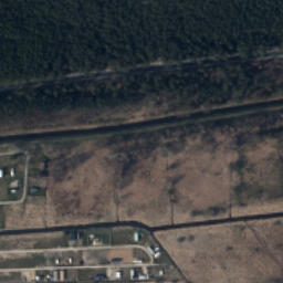 Satelita
